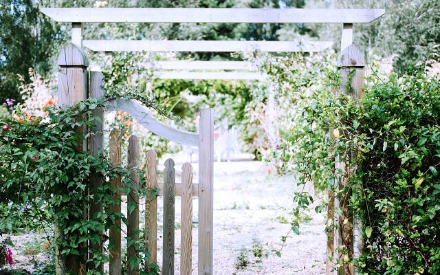 Landscaping Plants