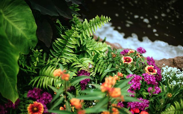 Landscaping Pond