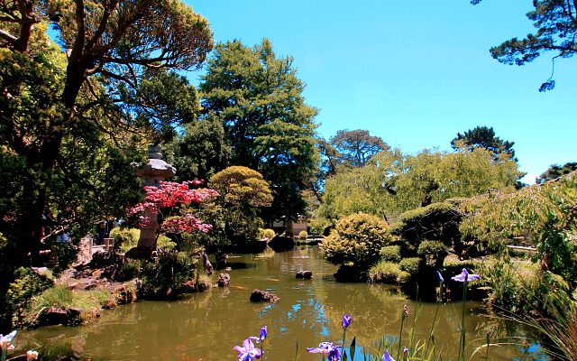 Landscaping Pond