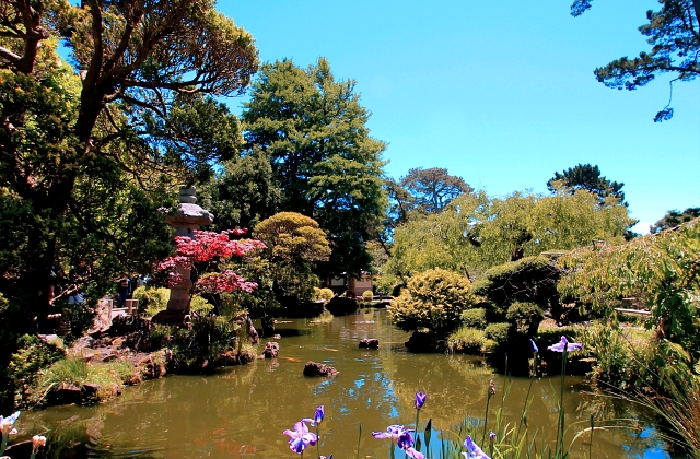 Landscaping Pond